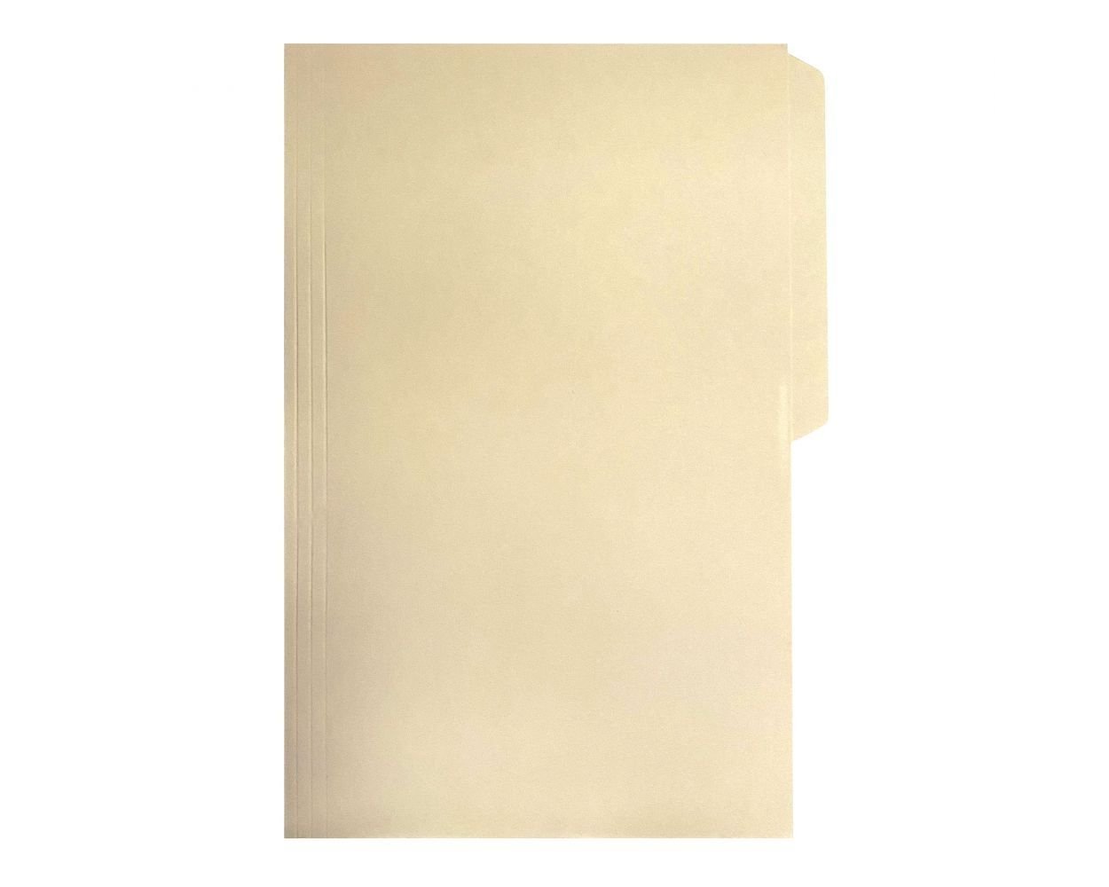 134 FOLDER MANILA SIMPLE OFICIO - Imagen 1